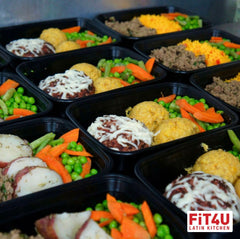 Fit4U Fuel – Lunch or Dinner